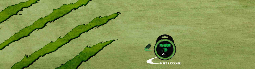 Cordage Isospeed Rexxxer